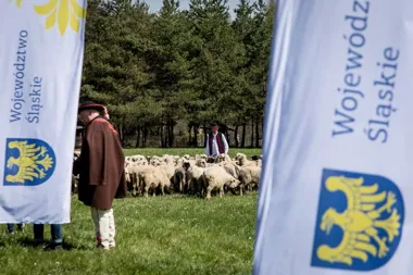 Obraz do artykułu: Góralskie święto w Rychwałdzie! Rusza sezon pasterski i wyjątkowy rok tradycji